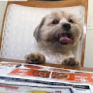 Meet your Posher, Yo